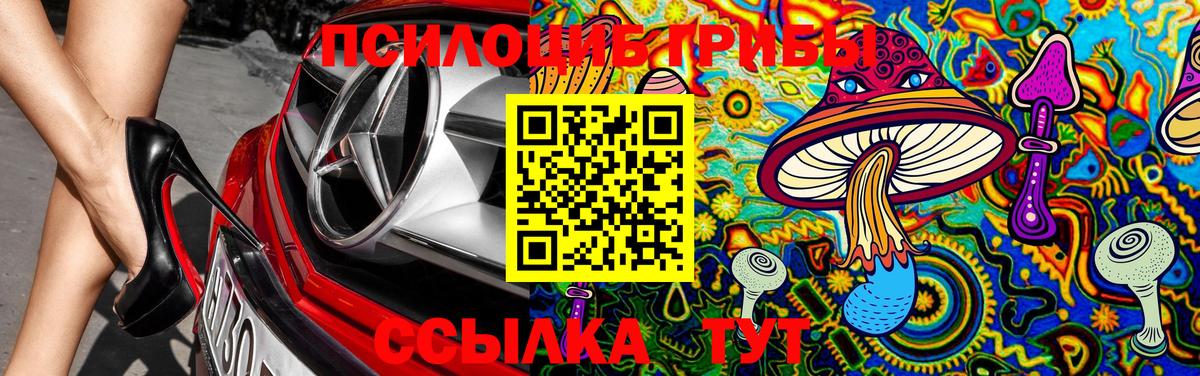 Борисоглебск  Галлюциногенные грибы Psilocybe  Вход с VPN 
